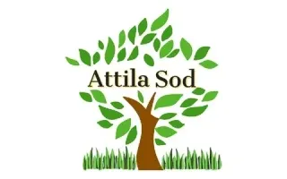 Attila Sod logo